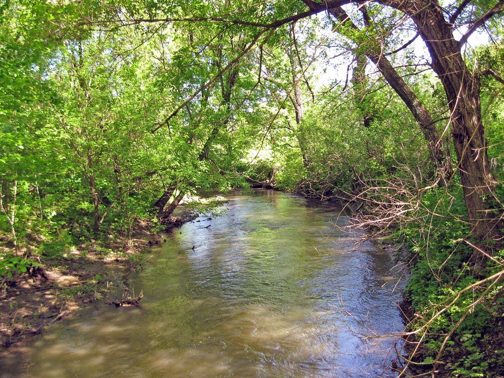 Селезнівка з panoramio.com - Селезневка