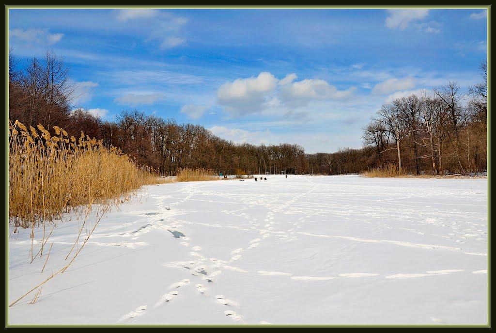 Кремінна з panoramio.com - Kreminna