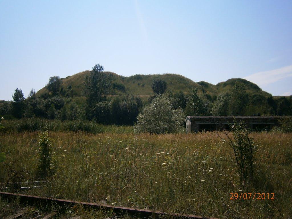 Новий Розділ з panoramio.com - Новый Роздол