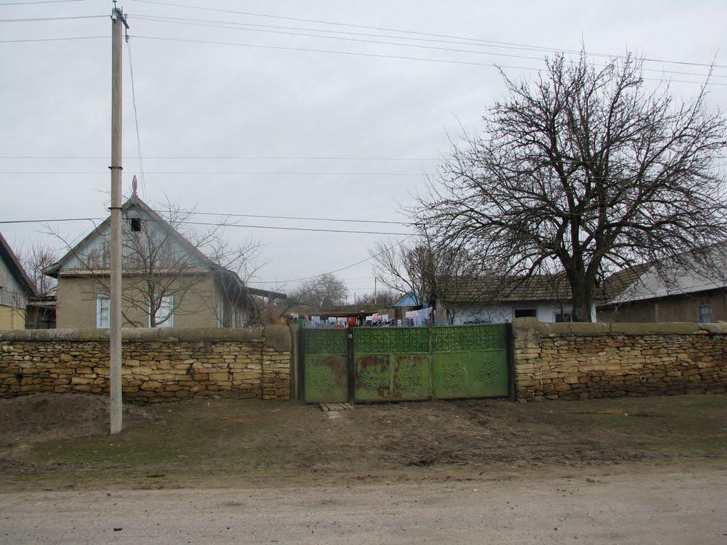 Олександрівка з panoramio.com - Олександрівка