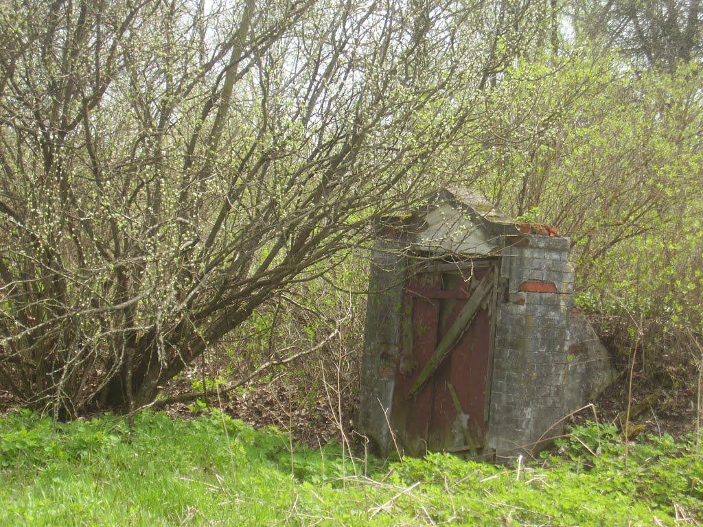 Любитове з panoramio.com - Любитово