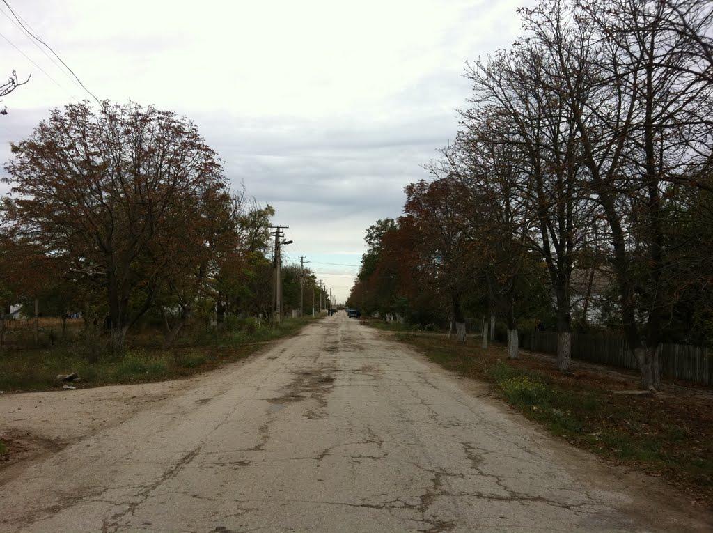 Жемчужина з panoramio.com - Жемчужина