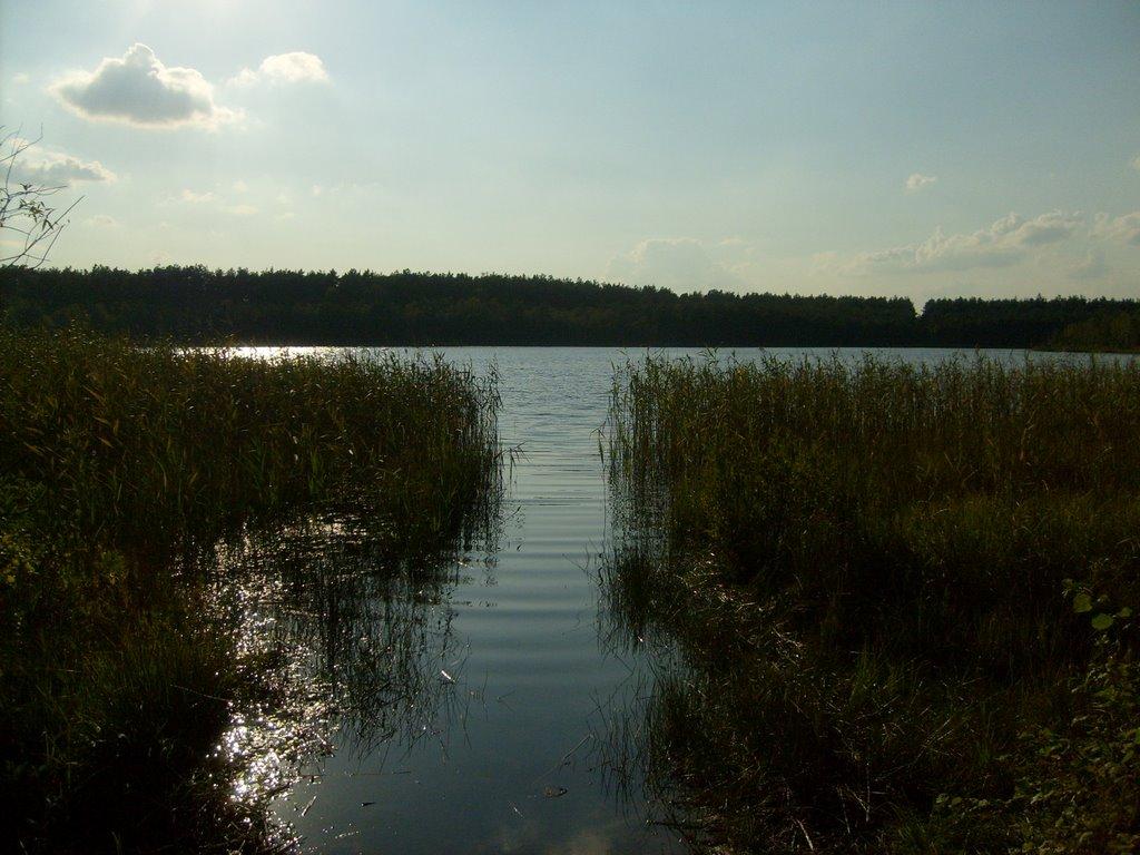Забужжя з panoramio.com - Забужье