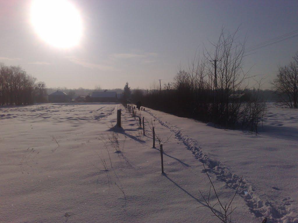 Вишнівка з panoramio.com - Вишнівка