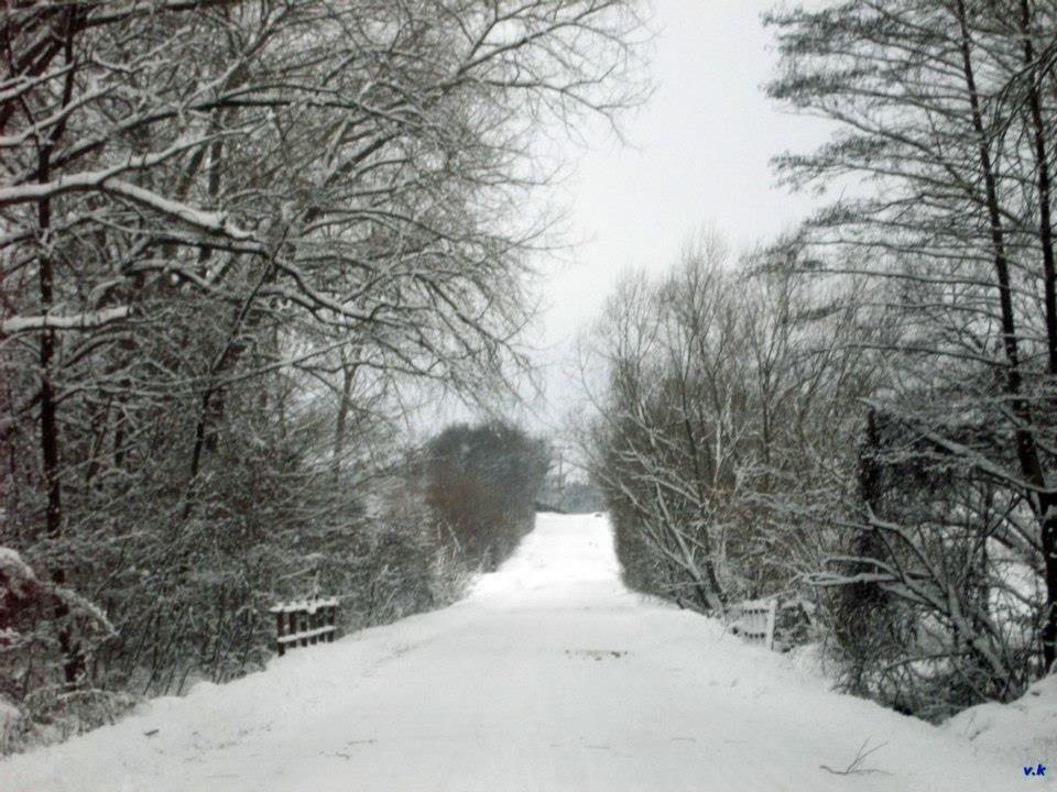 Завосина з panoramio.com (ч.2) - Завосина