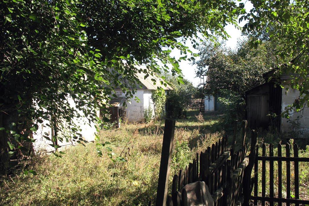 Пшеничне з panoramio.com - Пшеничне