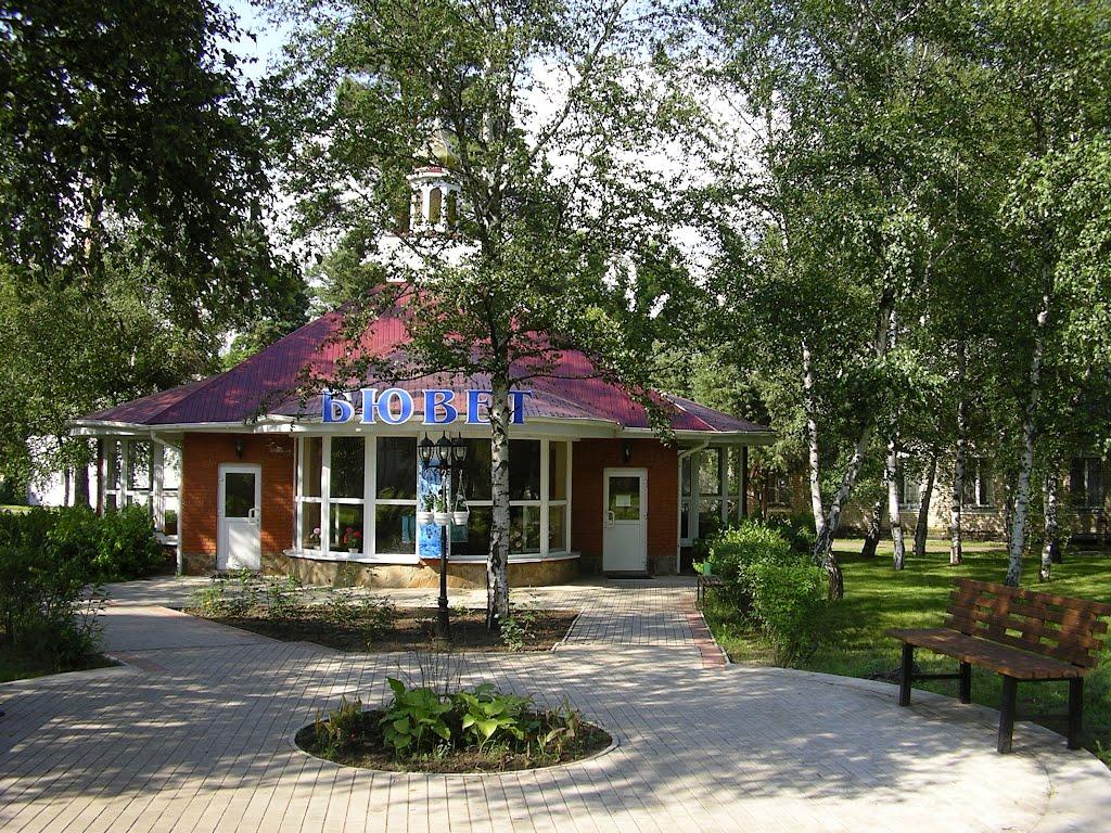 Орлівщина з panoramio.com - Орловщина