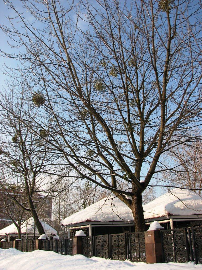 Славутич з panoramio.com - Славутич