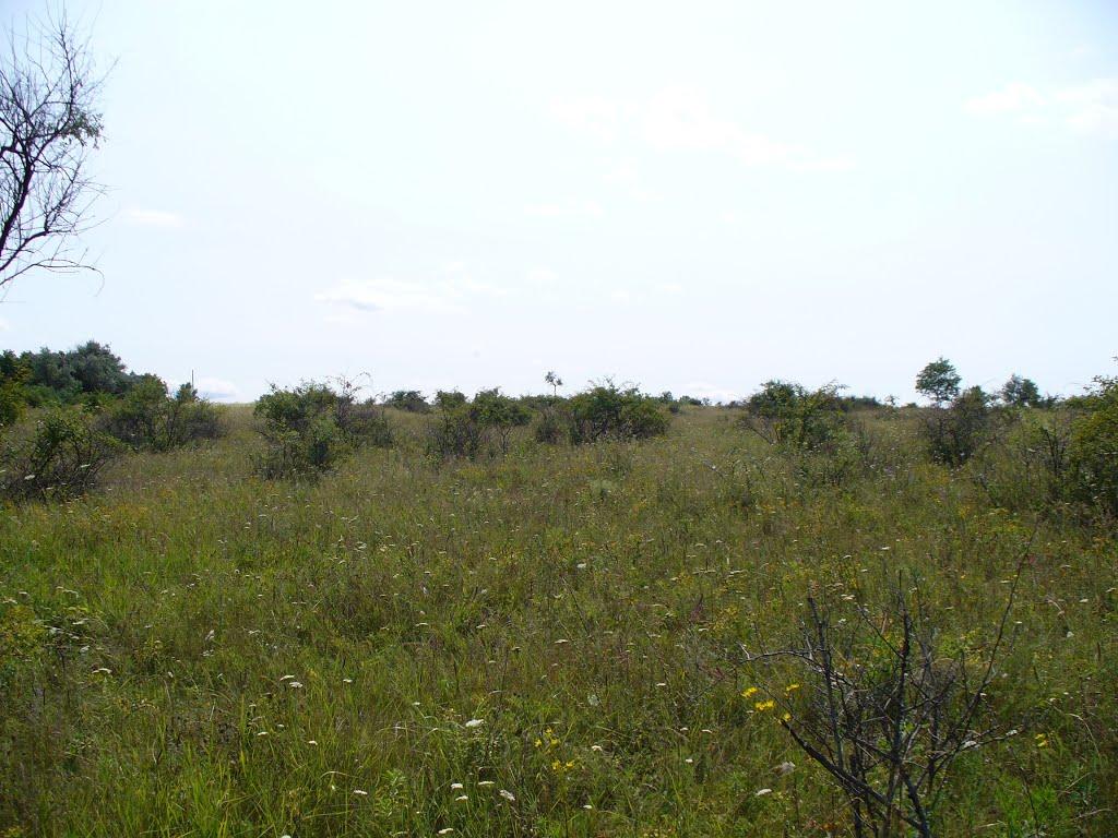 Дружківка з panoramio.com - Дружковка