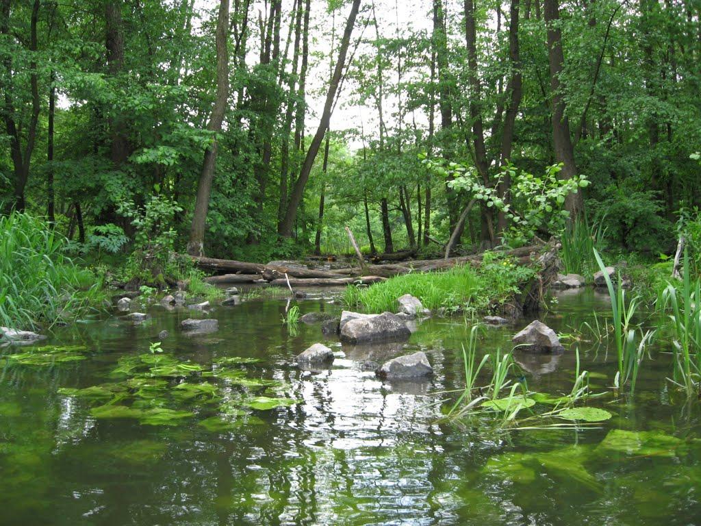 Есхар з panoramio.com - Эсхар