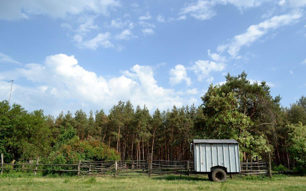 Головач з panoramio.com - Головач