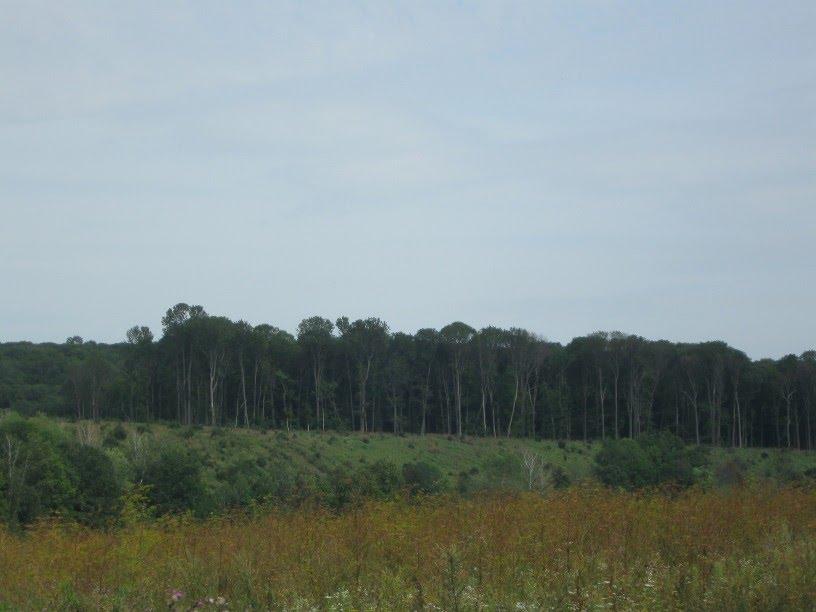 Барилівка з panoramio.com - Бариловка