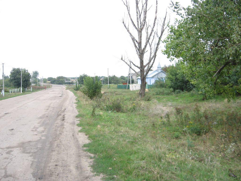 Великокомарівка з panoramio.com - Великокомарівка