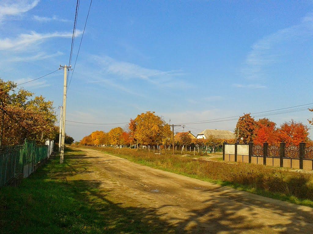 Олешник з panoramio.com - Олешник