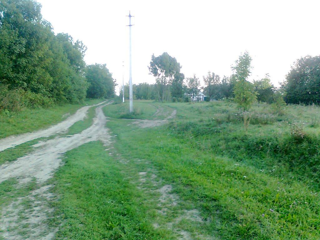 Люлинці з panoramio.com - Люлинцы