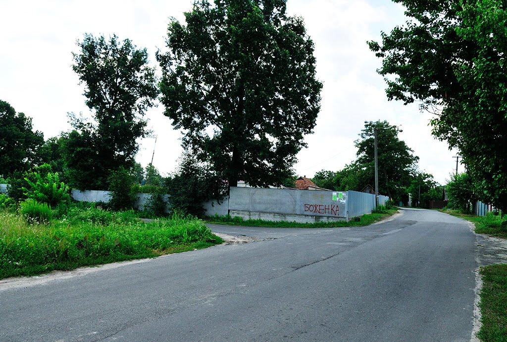 Вишеньки з panoramio.com - Вишеньки