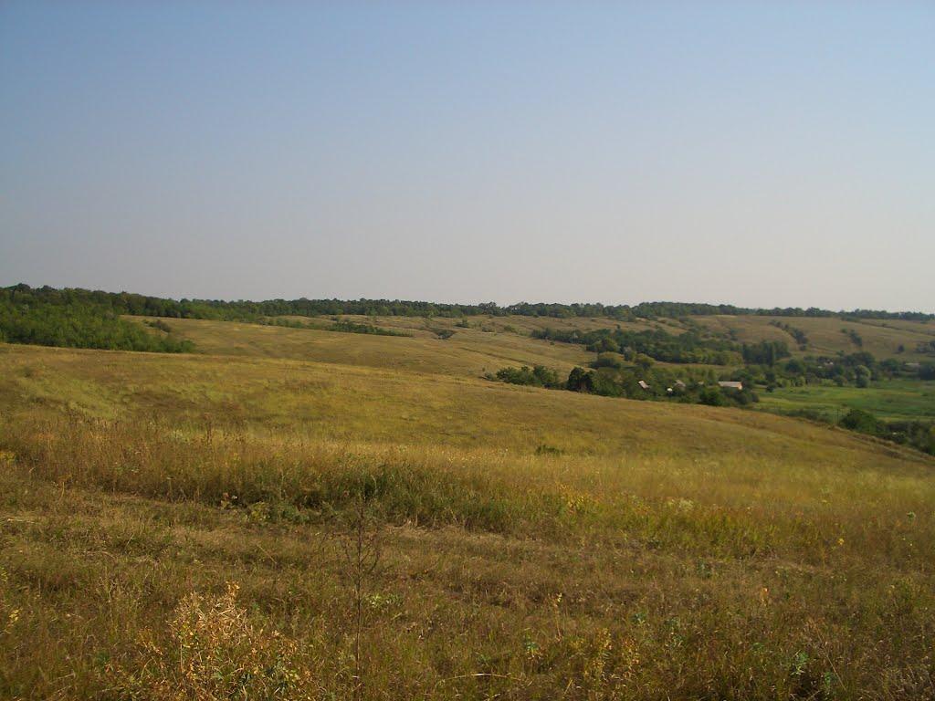 Долина з panoramio.com - Долина