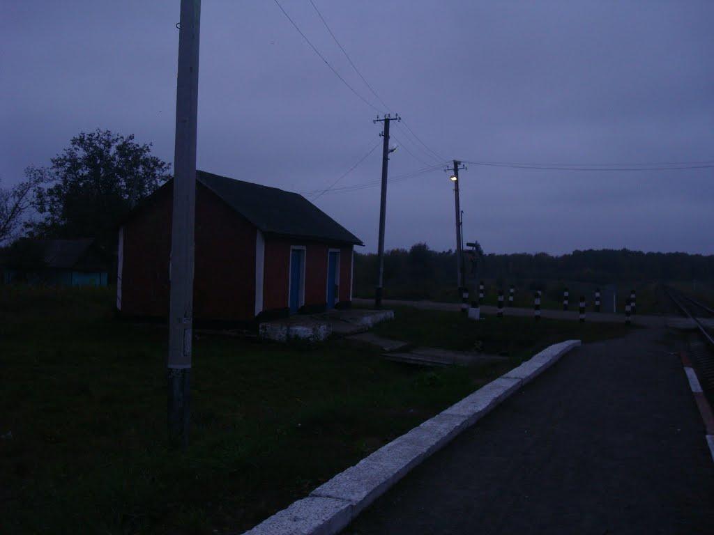 Волудринці з panoramio.com - Волудринці