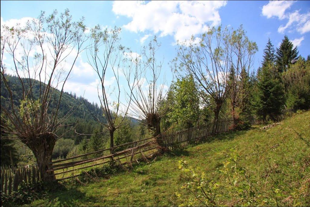 Фальків з panoramio.com (ч.2) - Фальків
