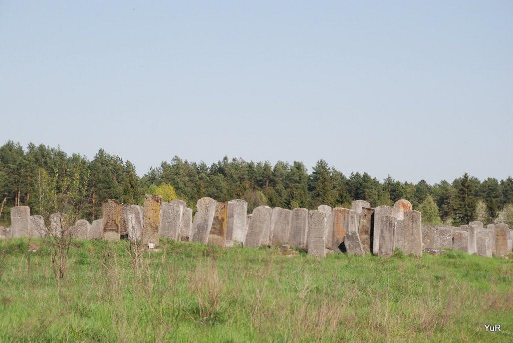 Броди з panoramio.com - Броды
