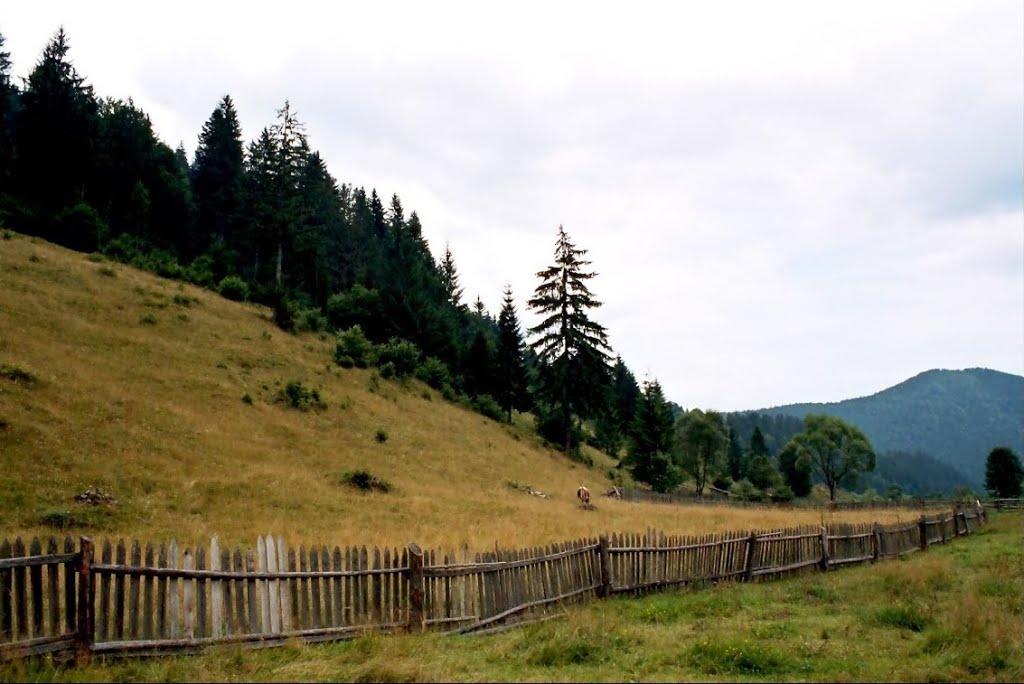 Фальків з panoramio.com (ч.2) - Фальків