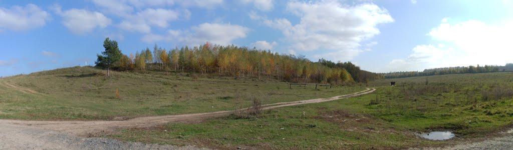 Снітівка з panoramio.com - Снитовка