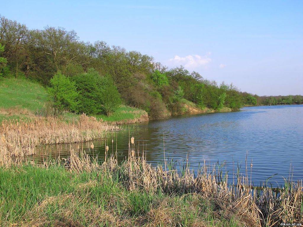 Петро-Свистунове з panoramio.com - Петро-Свистунове