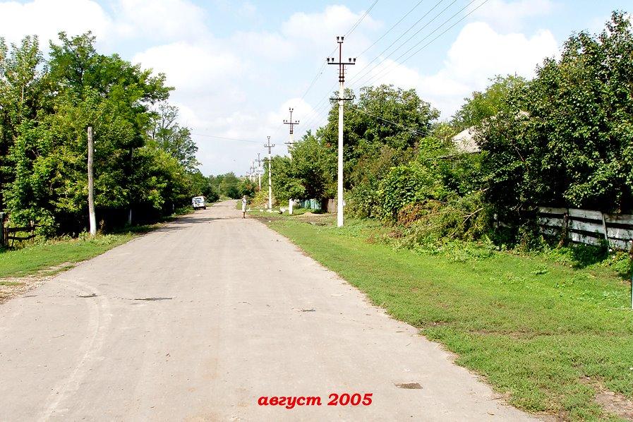 Пасат з panoramio.com - Пасат