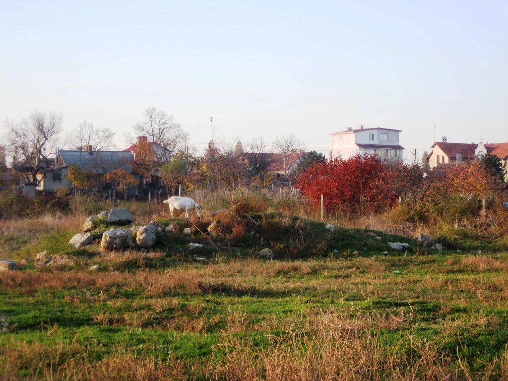 Бурлача Балка з panoramio.com - Бурлача Балка