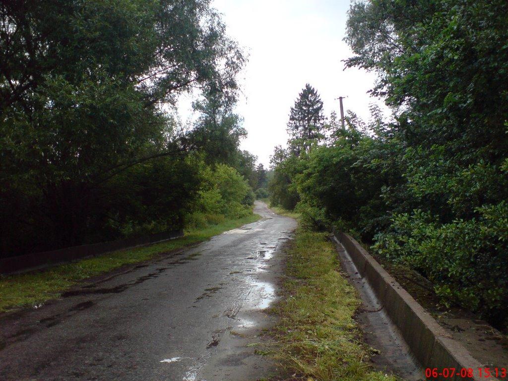 Броди з panoramio.com - Броды