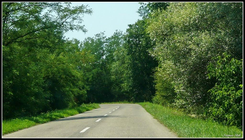 Галабор з panoramio.com - Galabor