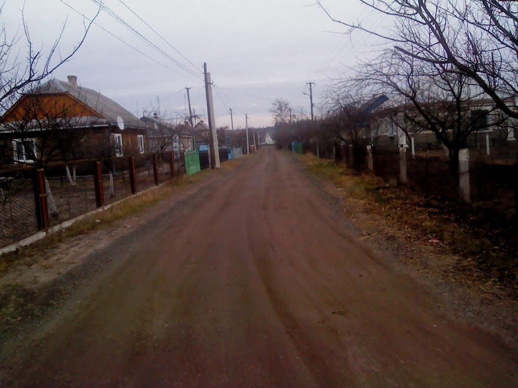Маневичі з panoramio.com - Маневичи