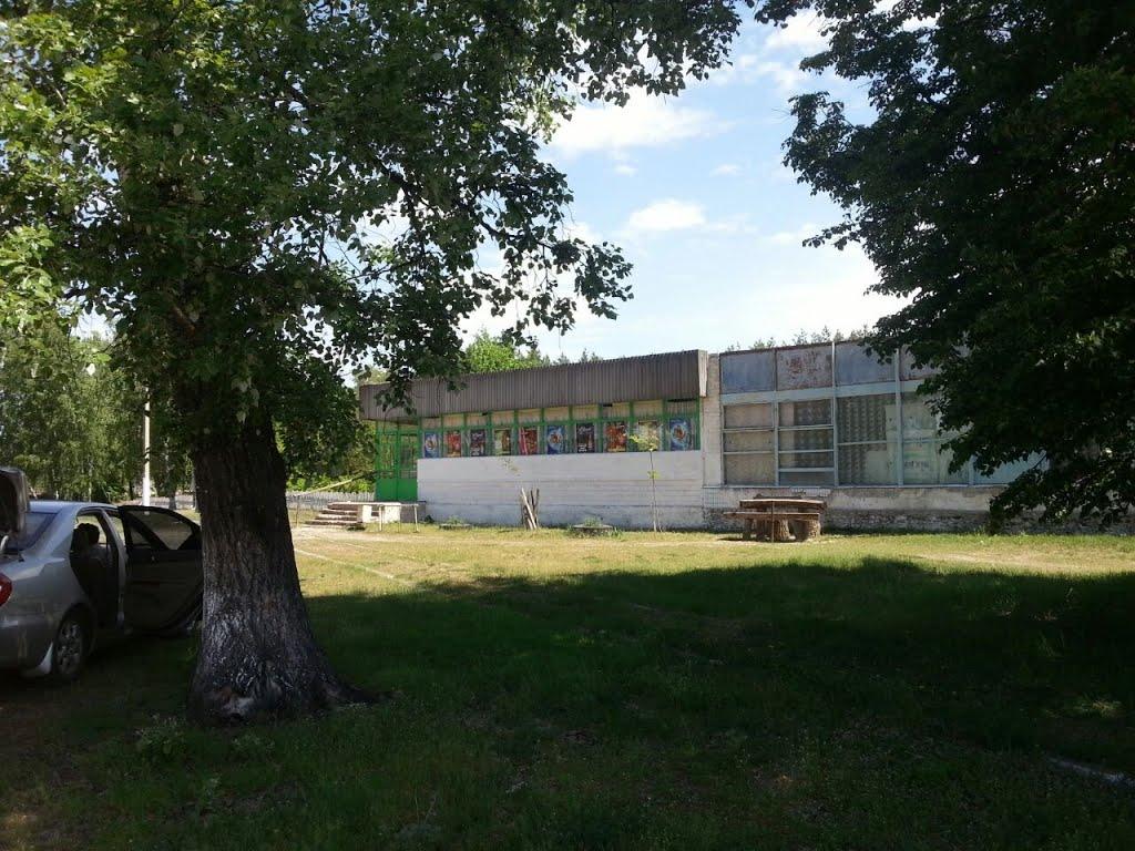 Любитове з panoramio.com - Любитово