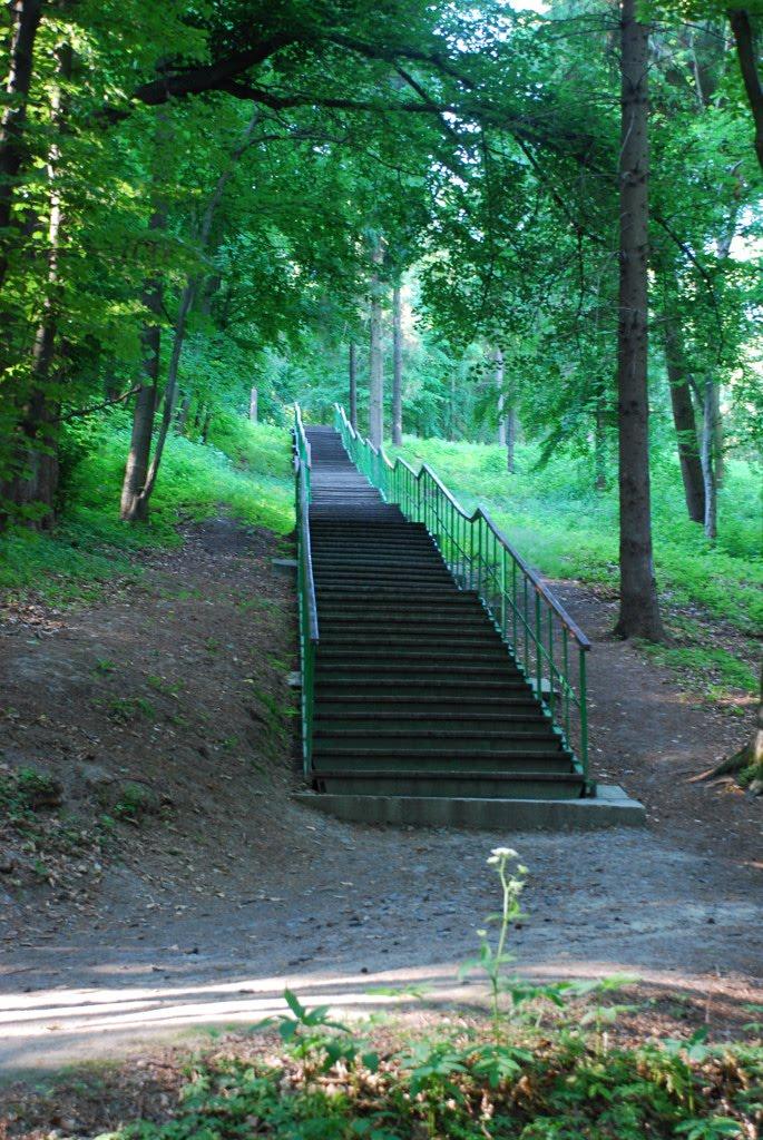 Унів з panoramio.com - Унив