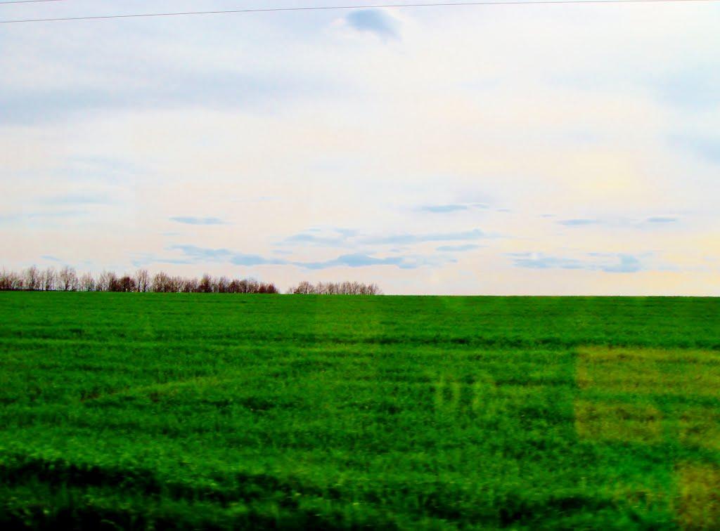 Лисянка з panoramio.com - Лысянка