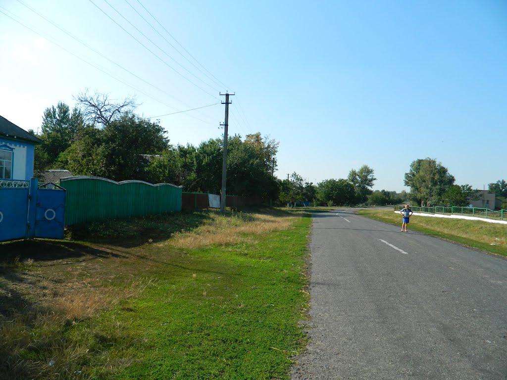 Степанівка з panoramio.com - Степановка