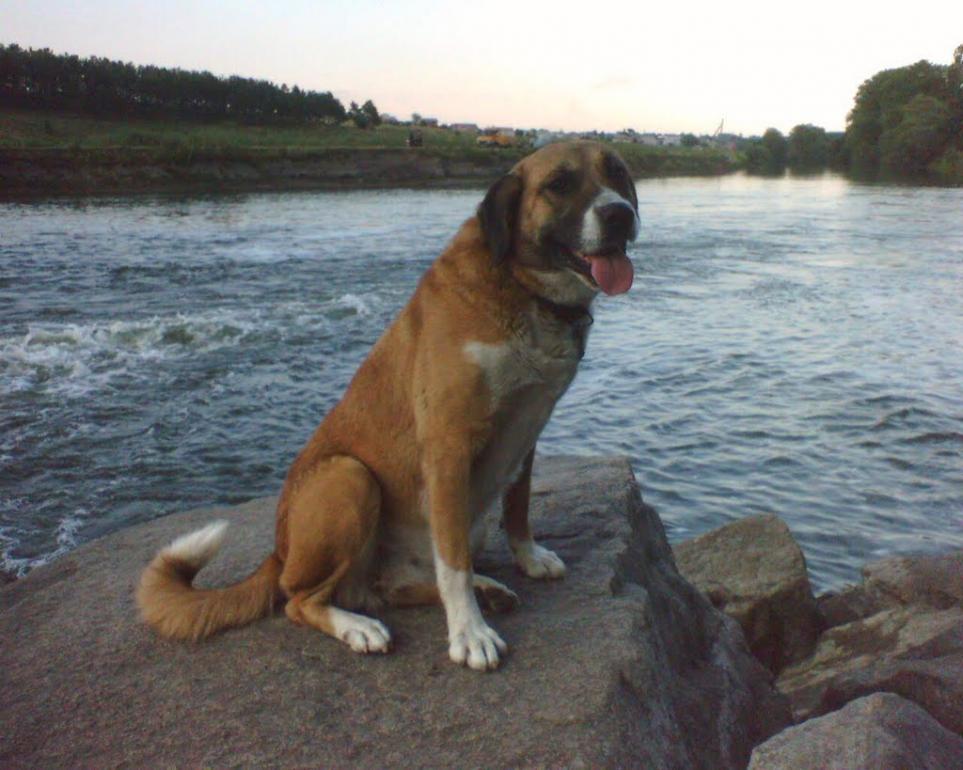 Хмільник з panoramio.com - Хмільник