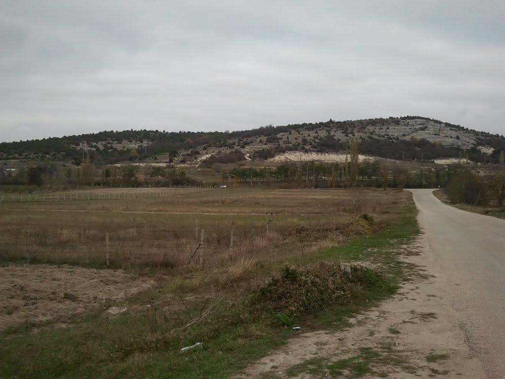 Красний Мак з panoramio.com - Красный Мак
