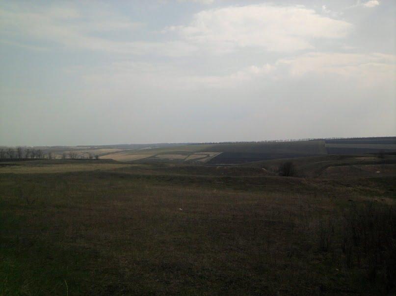 Березівка з panoramio.com - Березовка