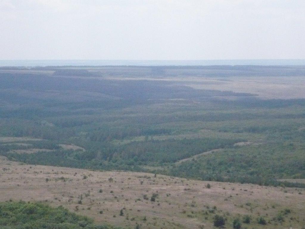 Саурівка з panoramio.com - Сауровка