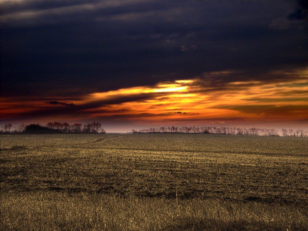 Комишуваха з panoramio.com - Комишуваха