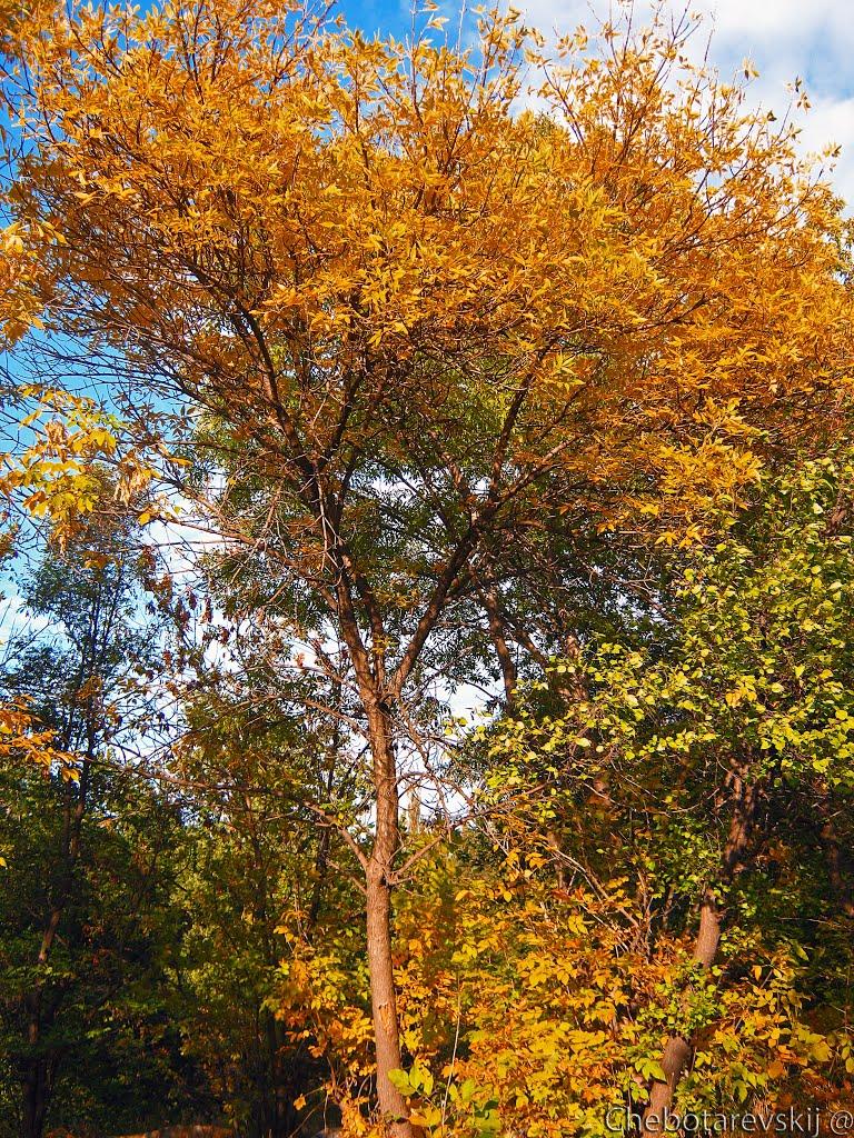 Зугрес з panoramio.com (ч.2) - Зугрэс