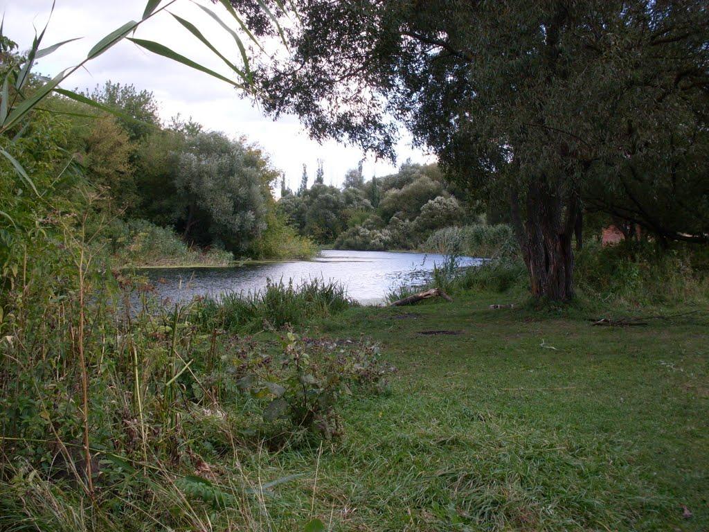 Плетенівка з panoramio.com - Pletenivka
