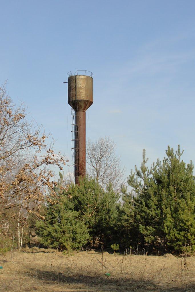 Навіз з panoramio.com - Навіз