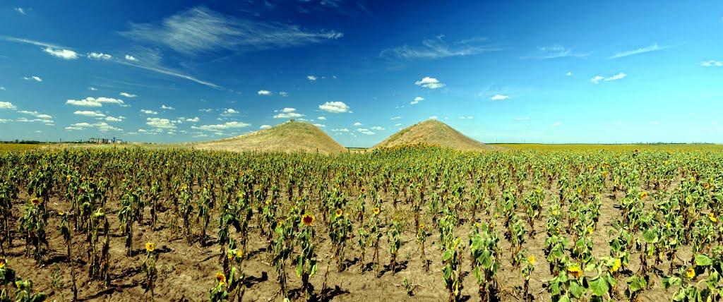 Новоолександрівка з panoramio.com - Новоолександрівка