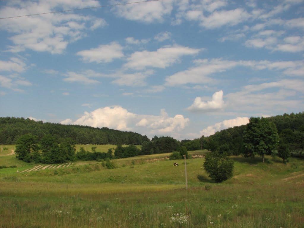 Ступно з panoramio.com - Ступно