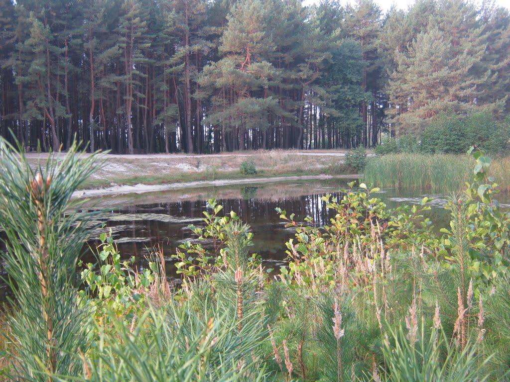 Південне з panoramio.com - Південне