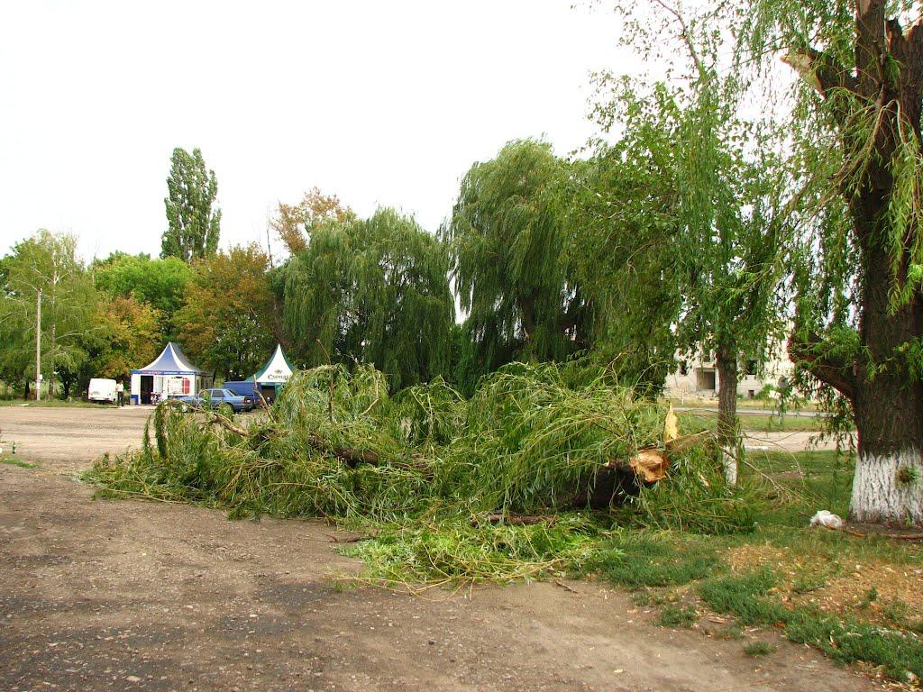 Біловодськ з panoramio.com - Біловодськ