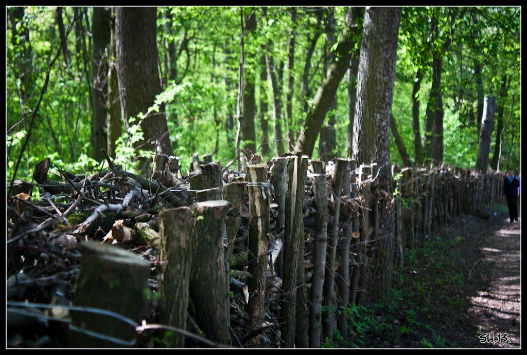 Колоденка з panoramio.com - Kolodenka