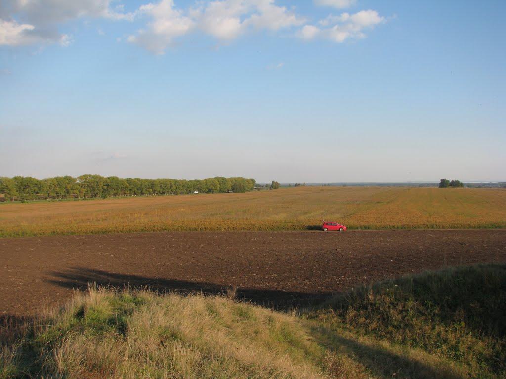 Дівички з panoramio.com - Девички